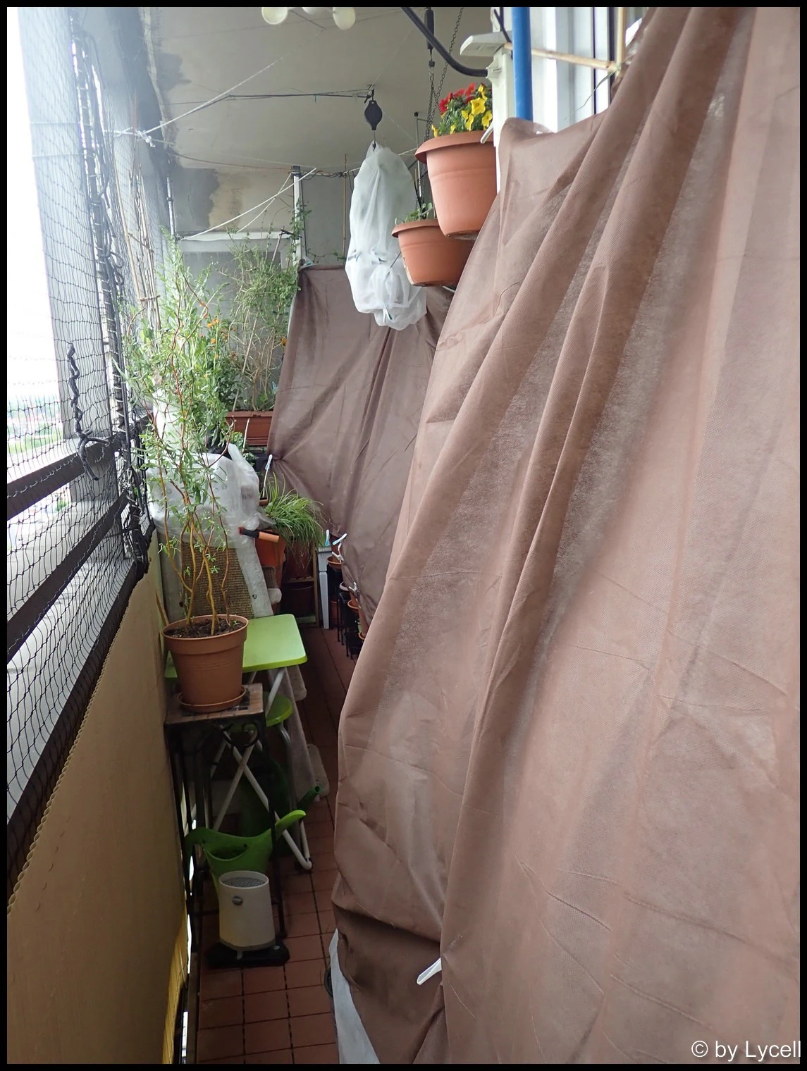 c063.webp