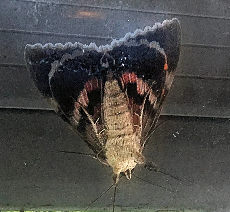 c6d21401-bdd9-4b3e-9625-382a15fa13e9.webp