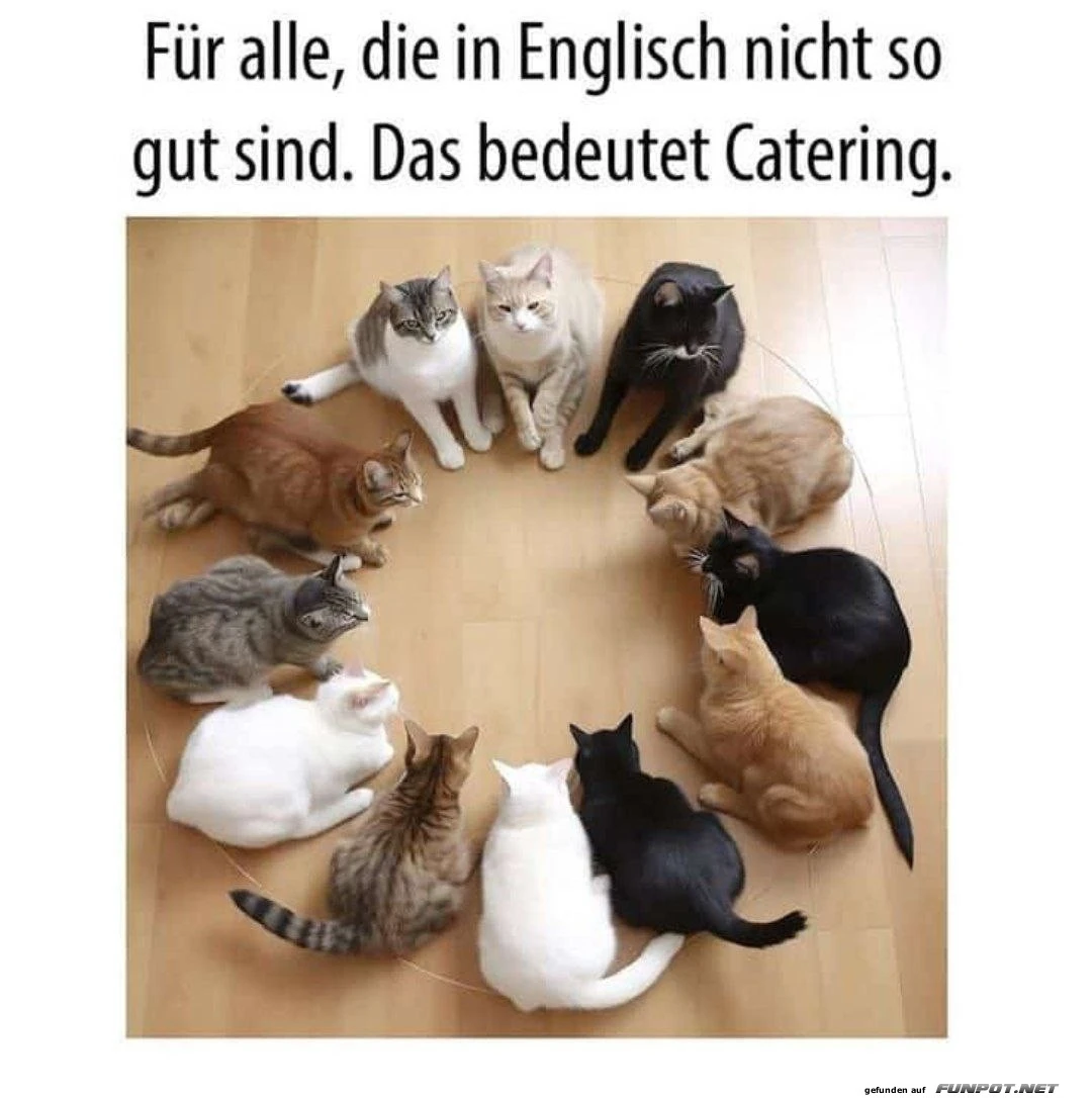 Catering.webp