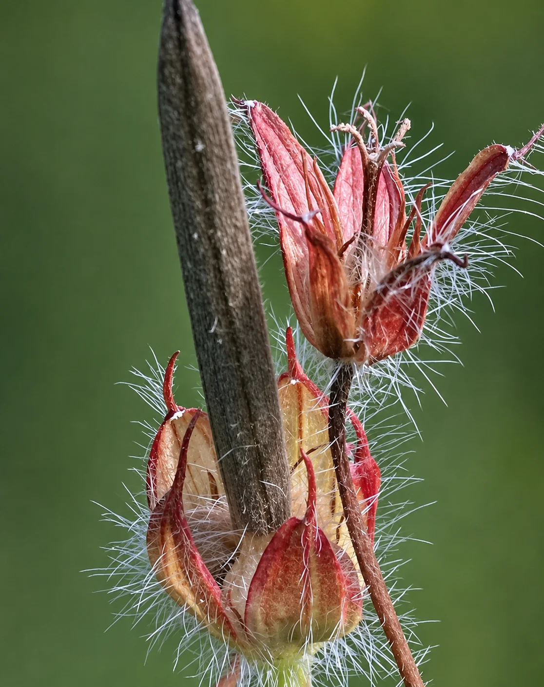 ChatGPT Image 27. Juni 2026, 17_49_57.webp