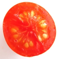 Cherry Falls - aufgeschnitten quer.webp