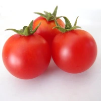 Cherry Falls.webp