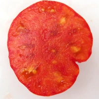 Chupa Chups Orange - aufgeschnitten quer.webp