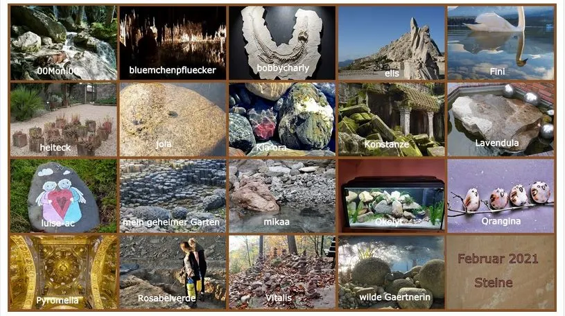 collage.webp