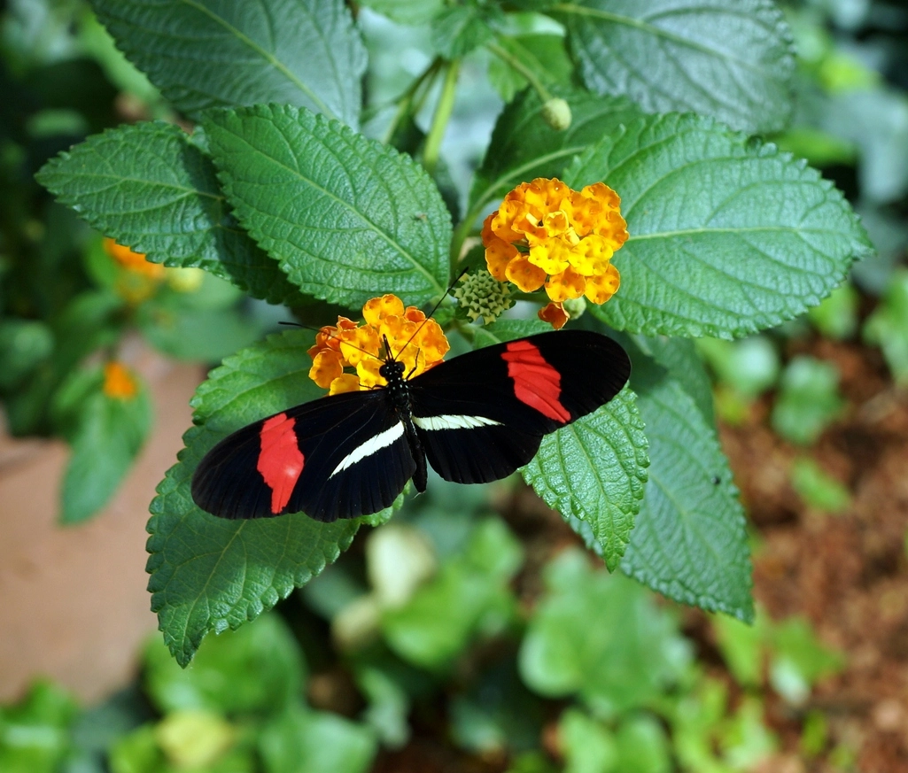 comp_DSC03596.webp