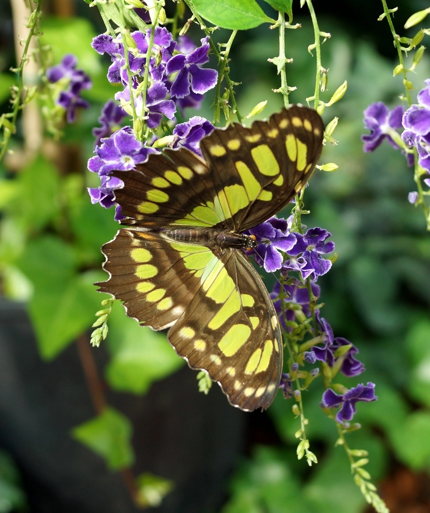 comp_DSC03609.webp