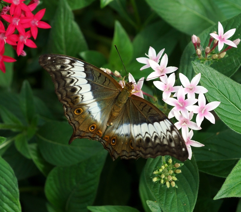 comp_DSC03615.webp
