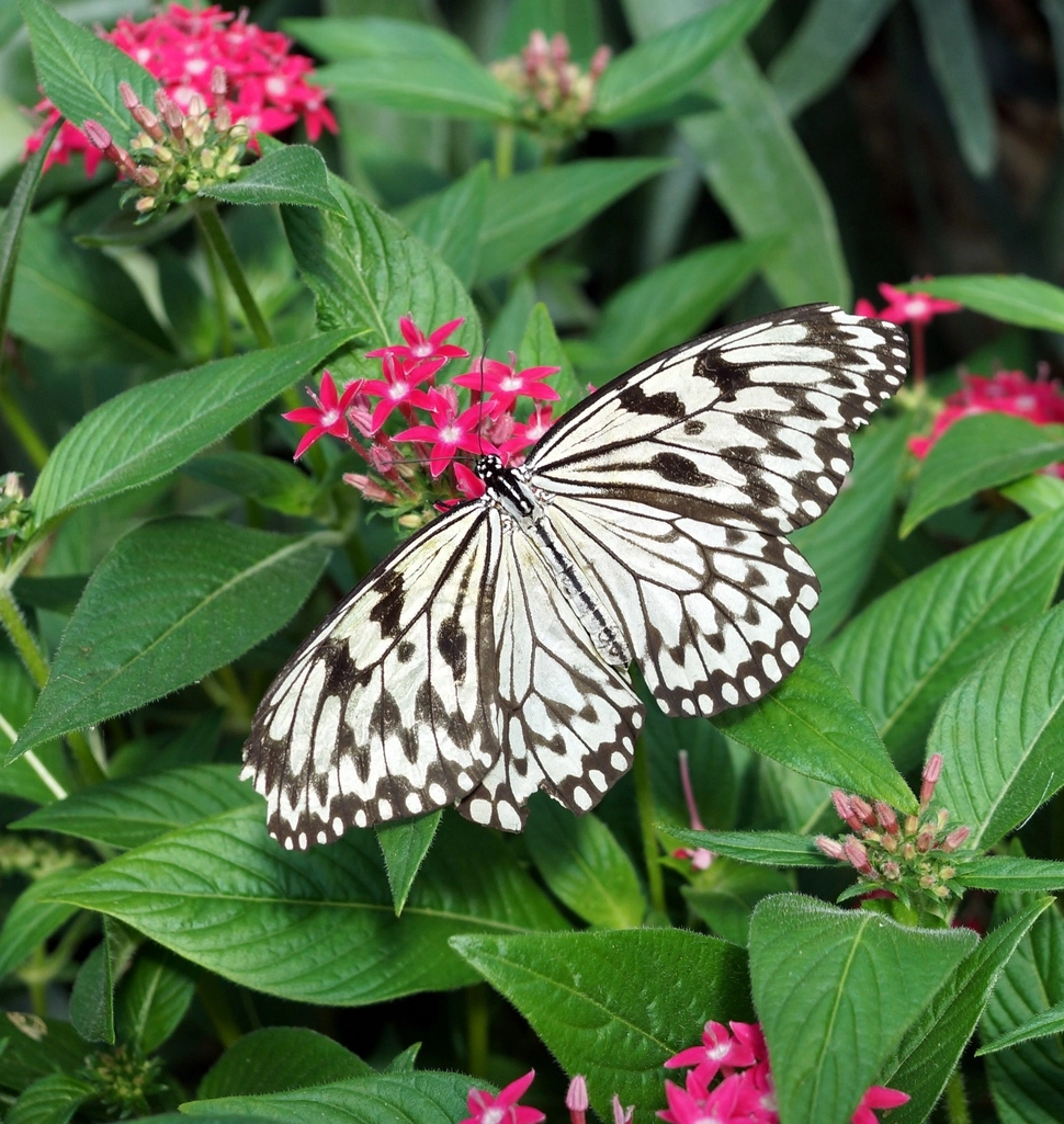comp_DSC03618.webp
