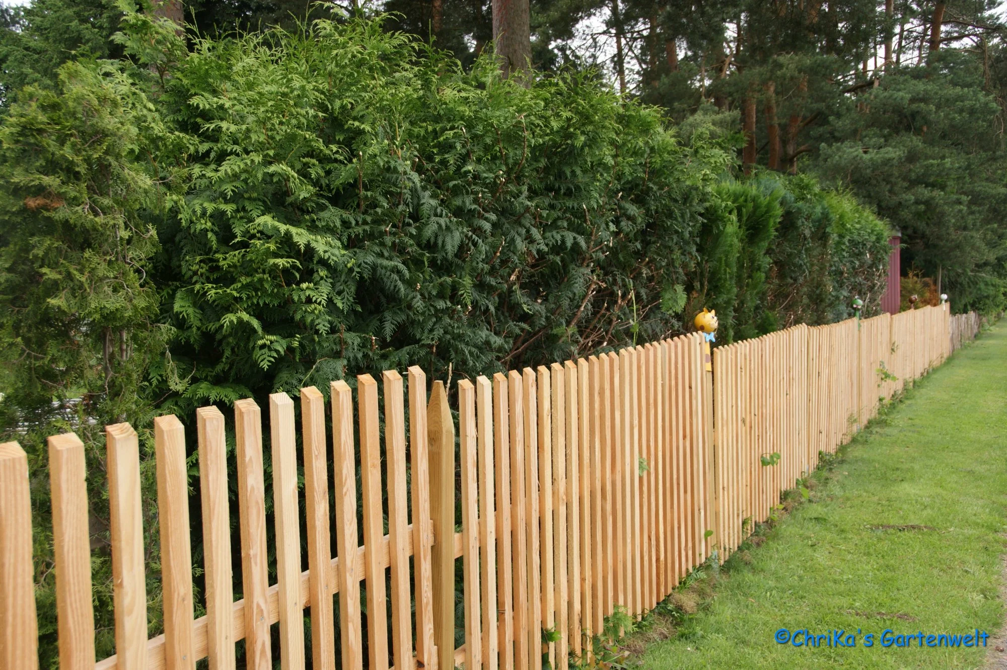 comp_DSC05172.webp