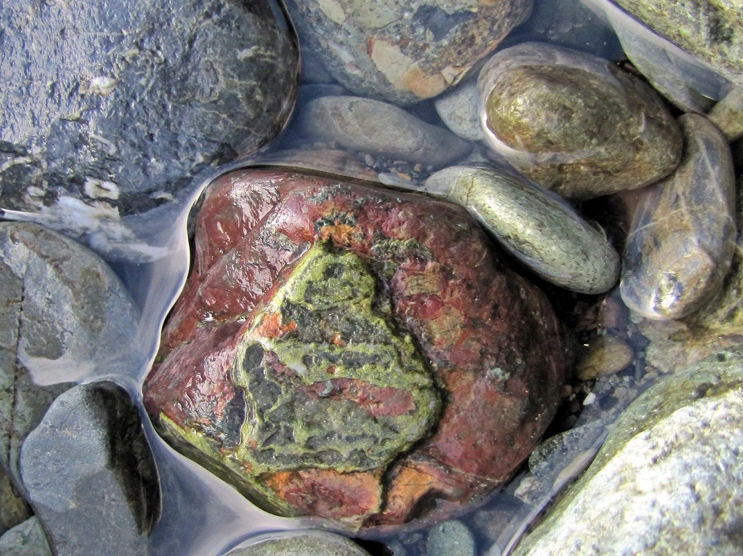 Copy of IMG_4006 v (2).webp