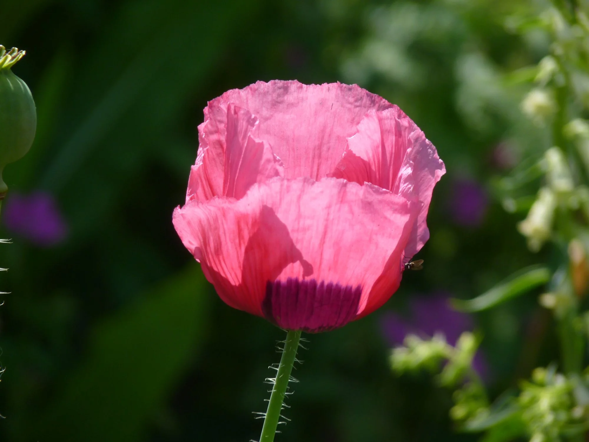 D1B73B3D-D048-4F47-9919-ACBB7AFF7870.webp