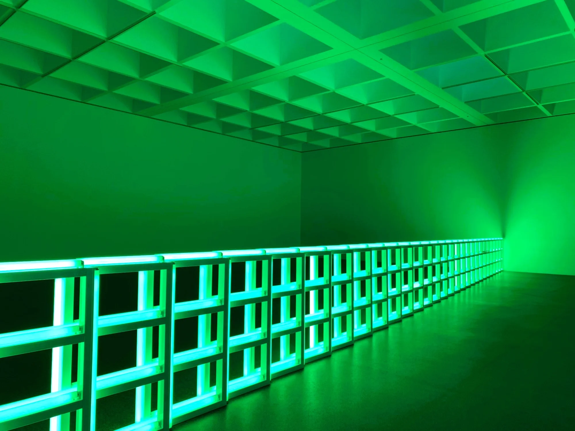 Dan Flavin.webp