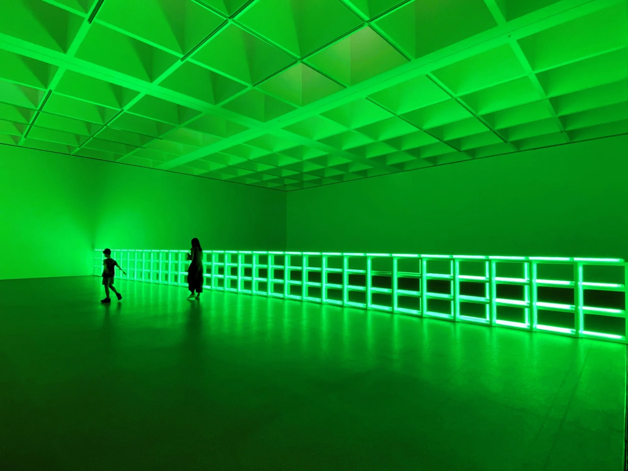 Dan Flavin1.webp
