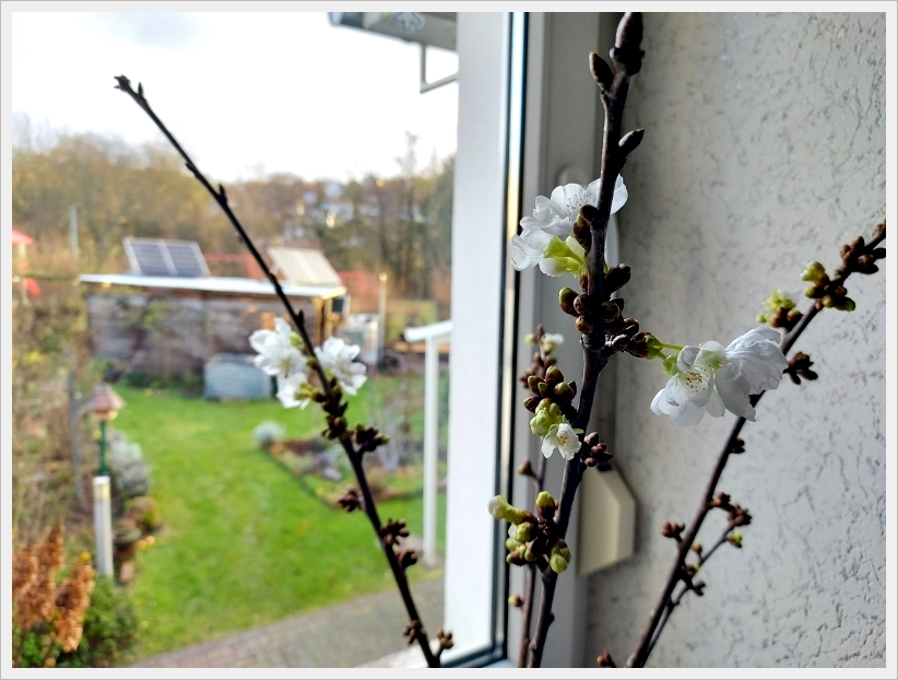 Die Ruhe nach dem Sturm 2b.webp