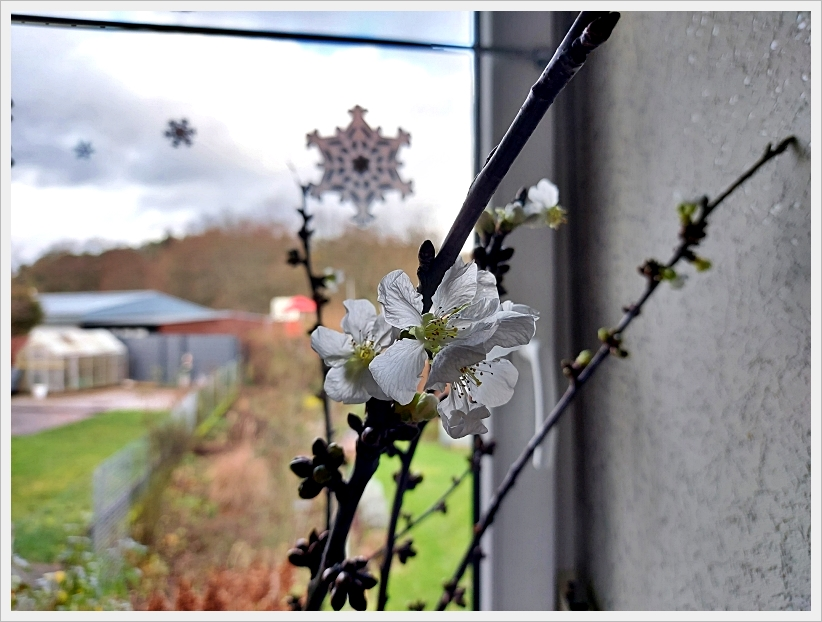 Die Ruhe nach dem Sturm 3.webp