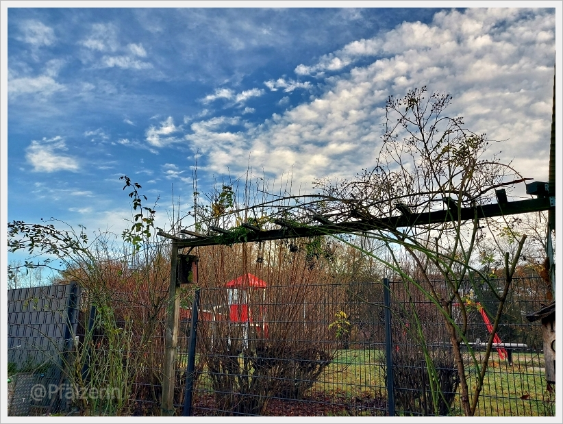 Die Ruhe nach dem Sturm 4.webp