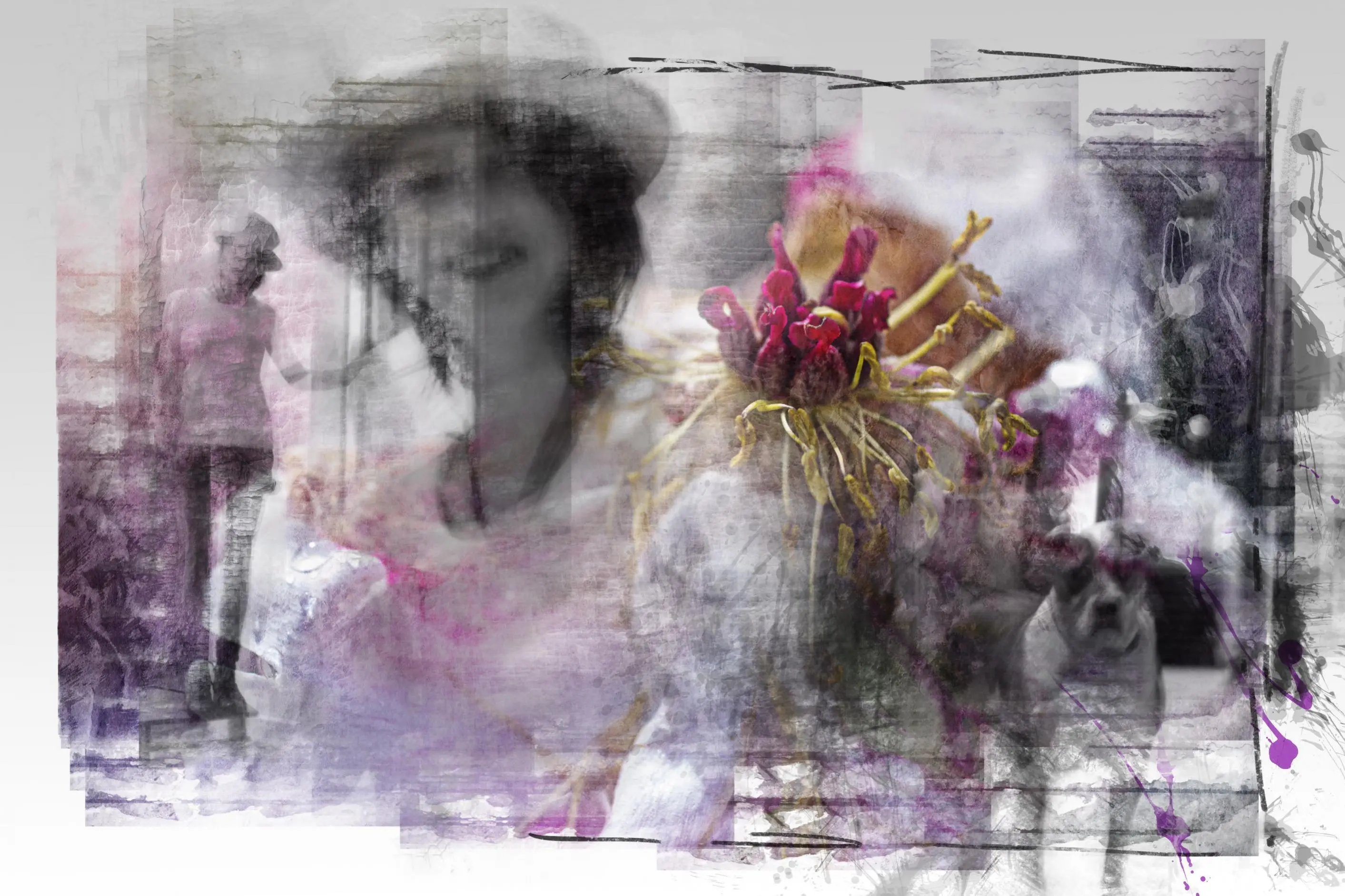 forum.hausgarten.net