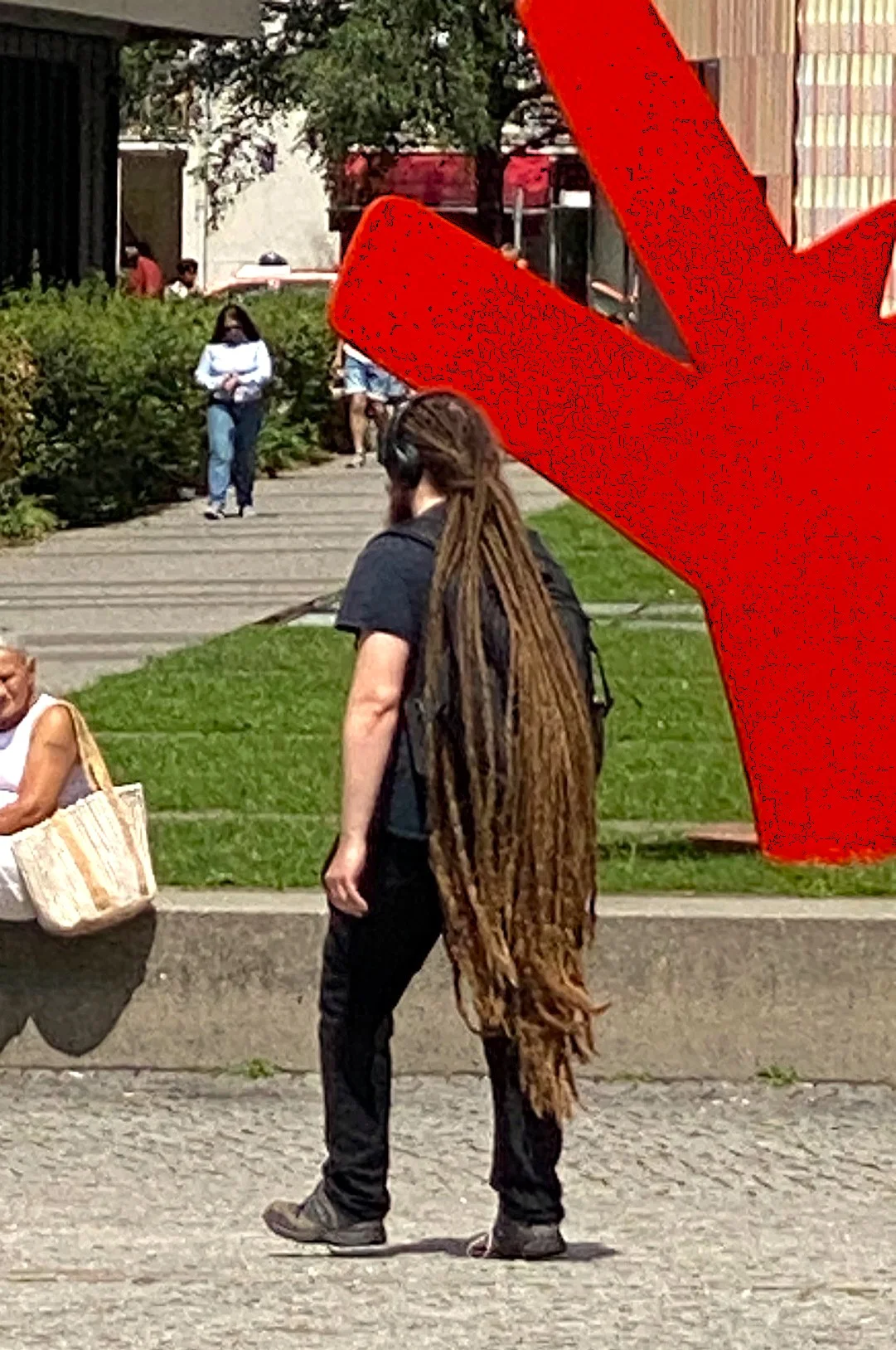 Dreadlocks.webp