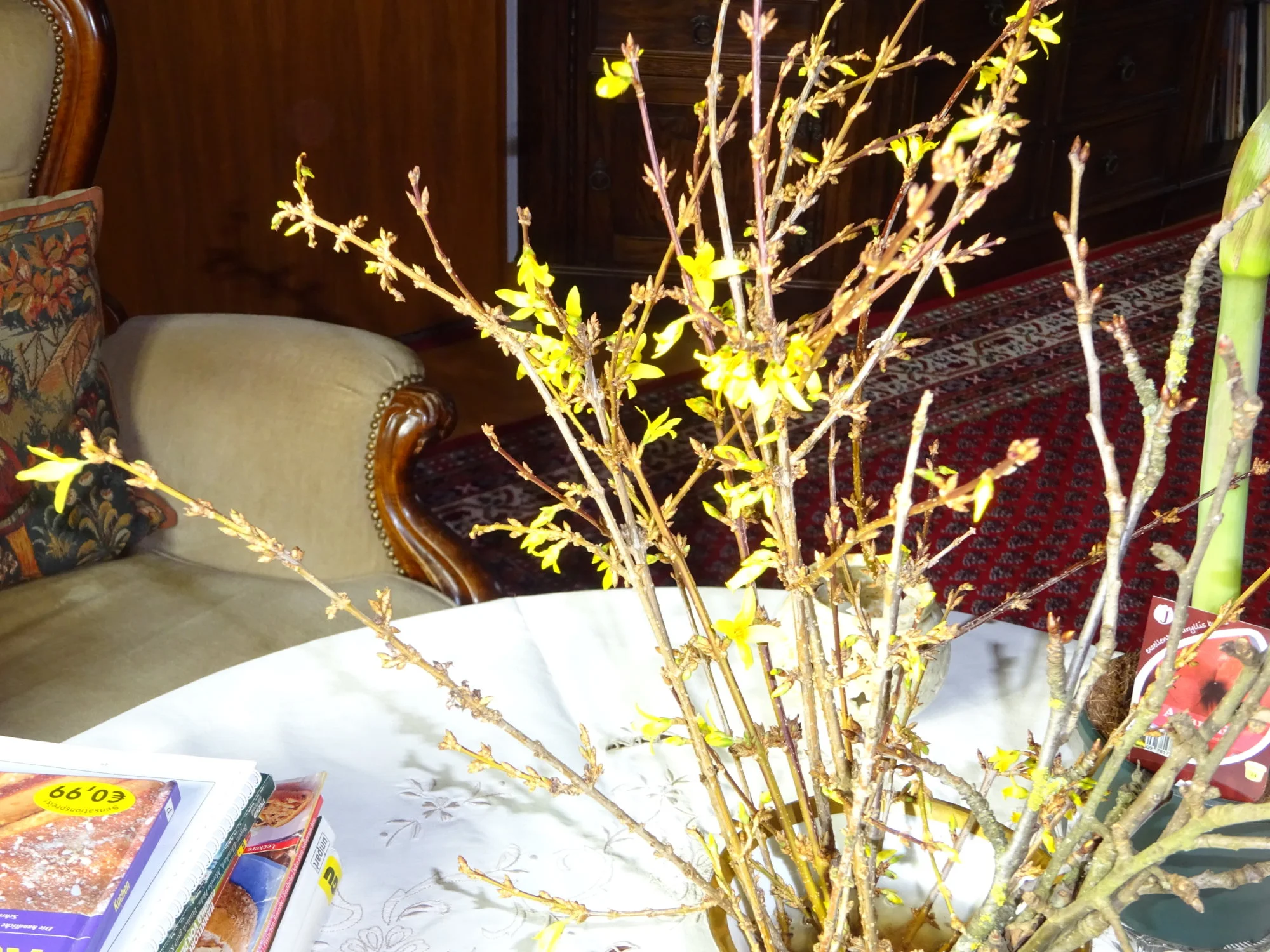 DSC00010.webp
