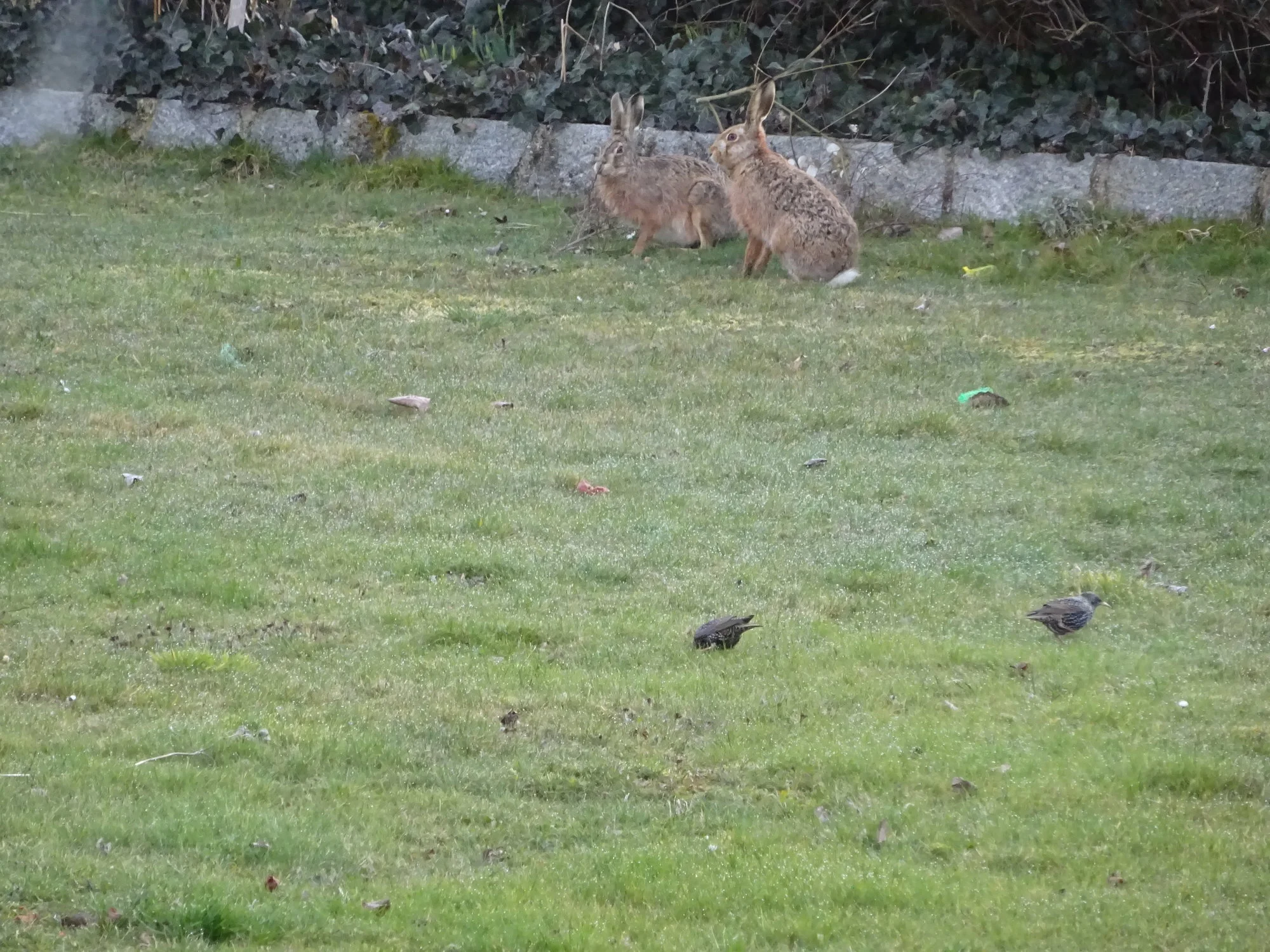 DSC02810.webp