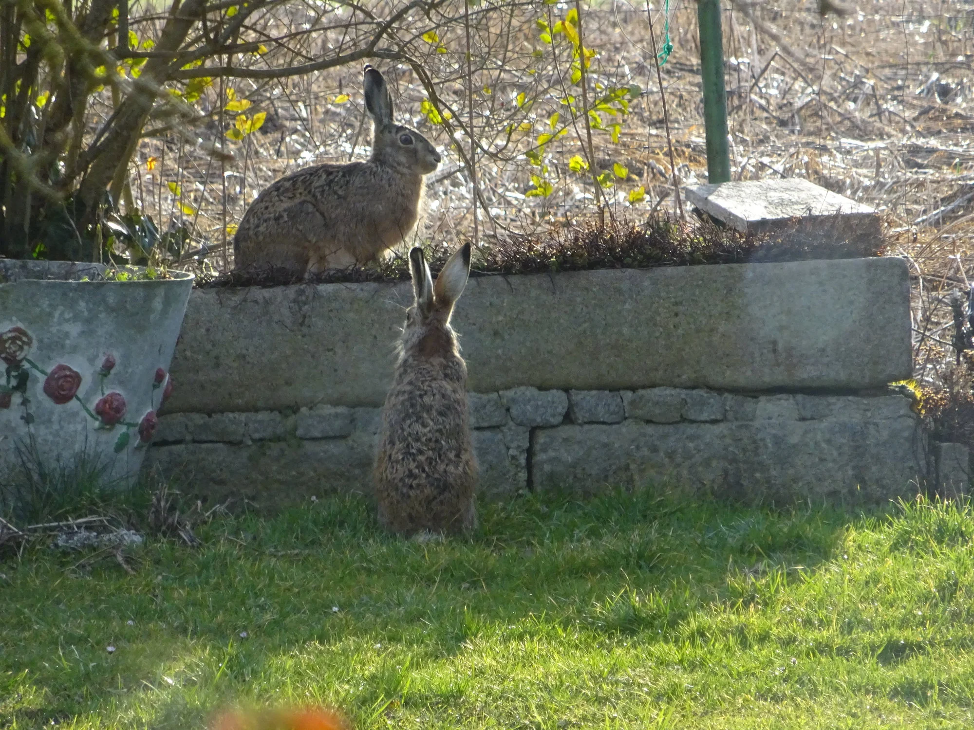 DSC02812.webp
