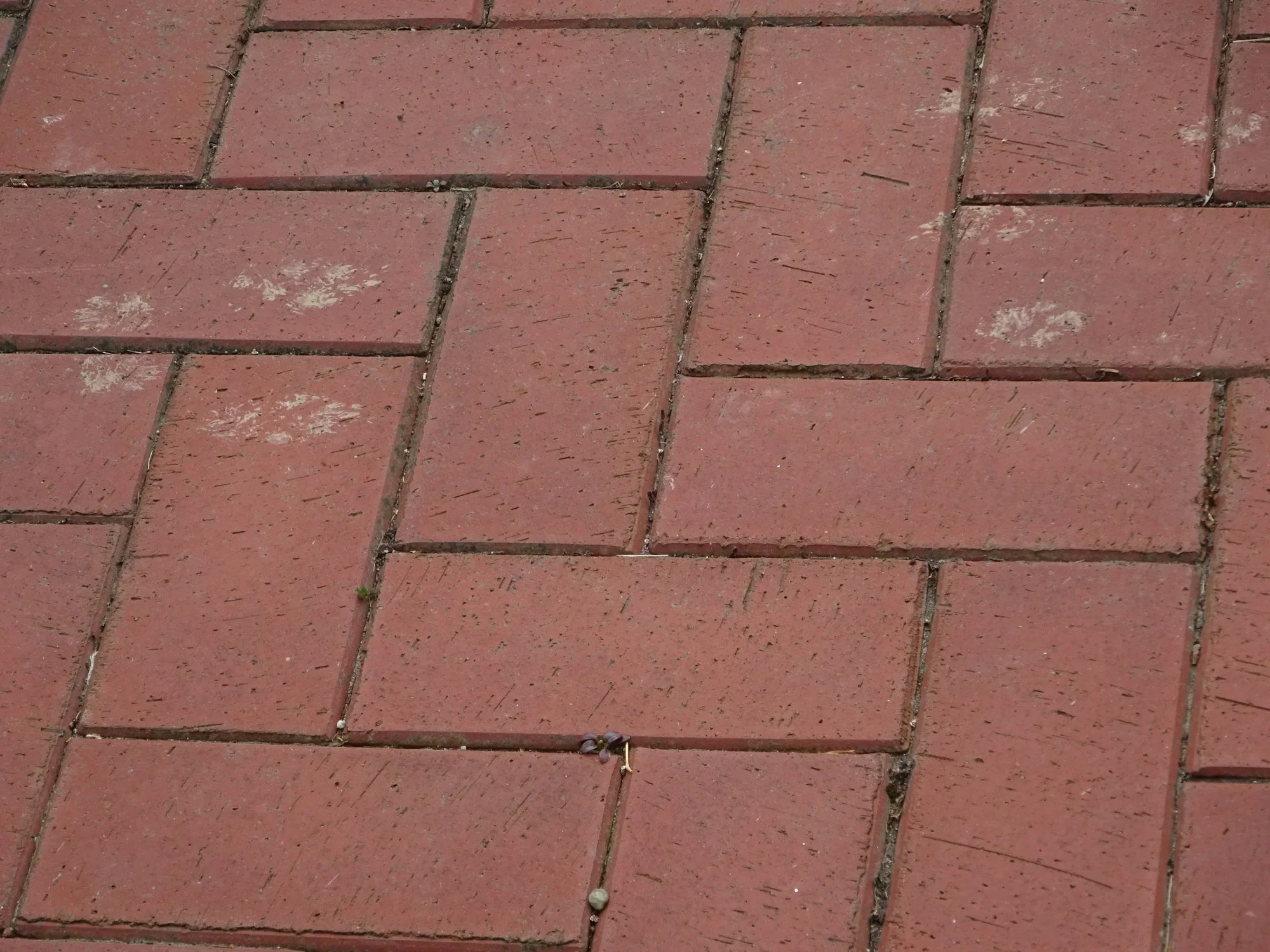 DSC02821.webp