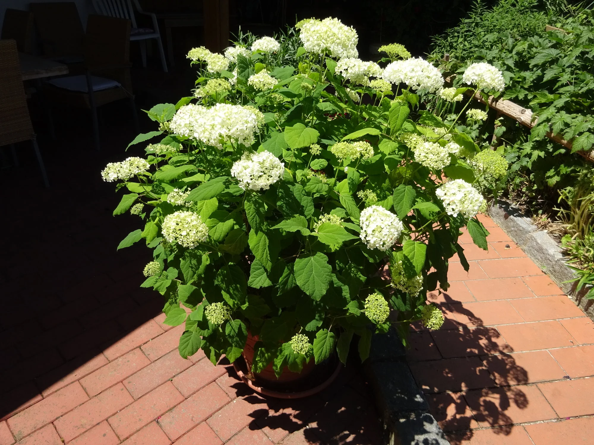 DSC03055.webp
