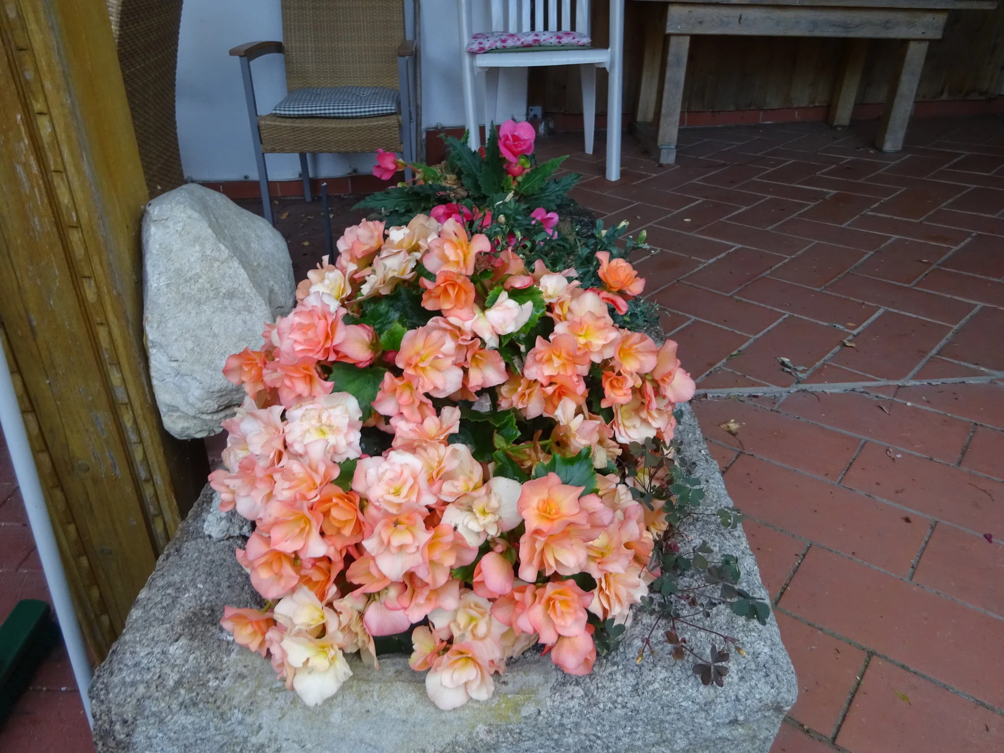 DSC03113.JPG