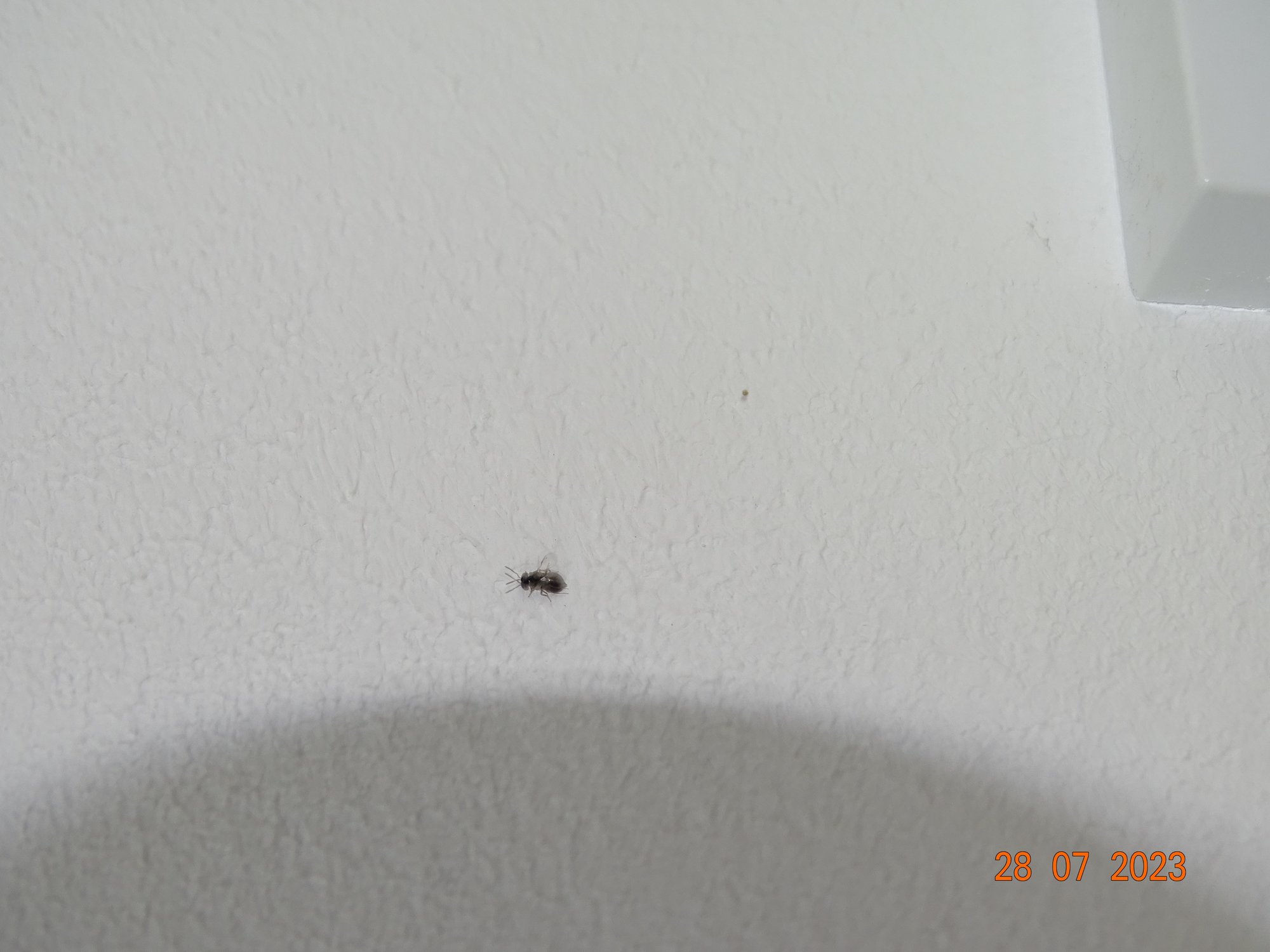 DSC03138999.jpg