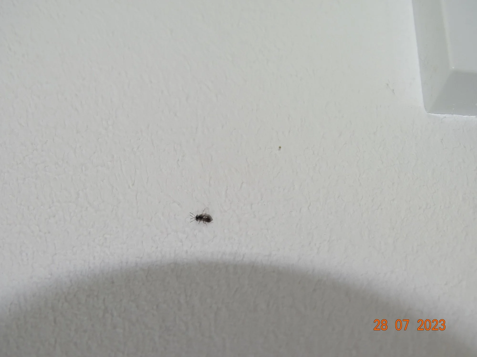 DSC03138999.webp