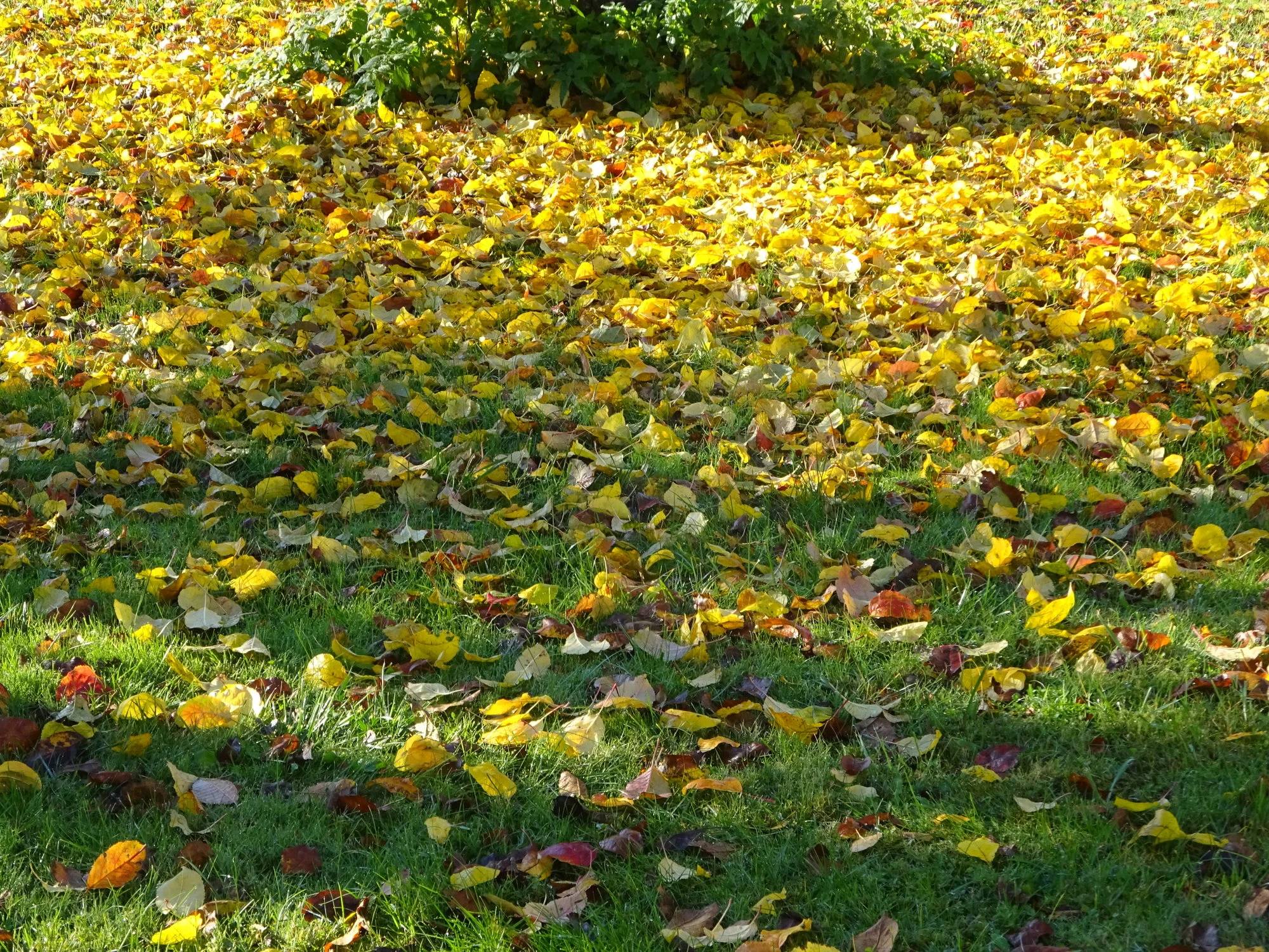 DSC03192.webp