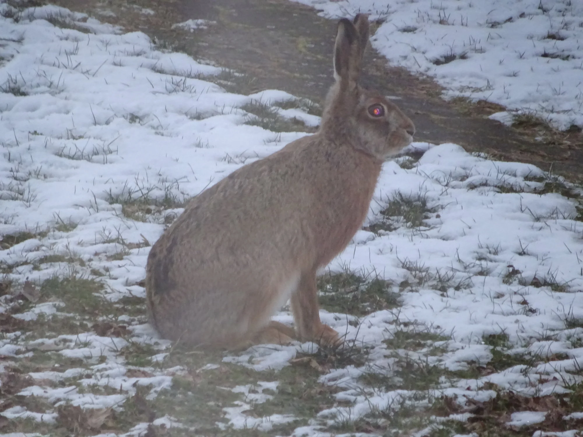 DSC03266.webp