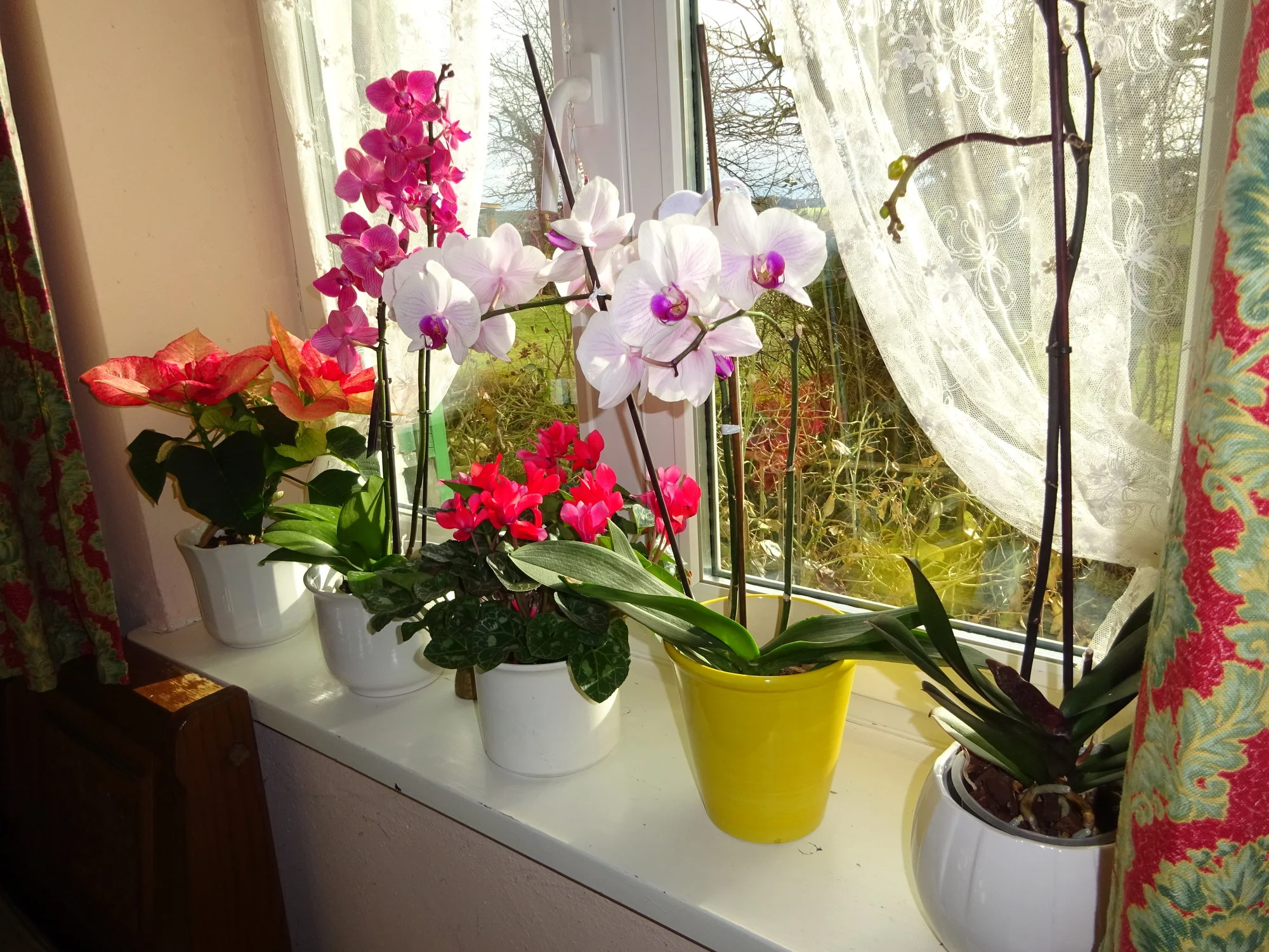 DSC03268.webp