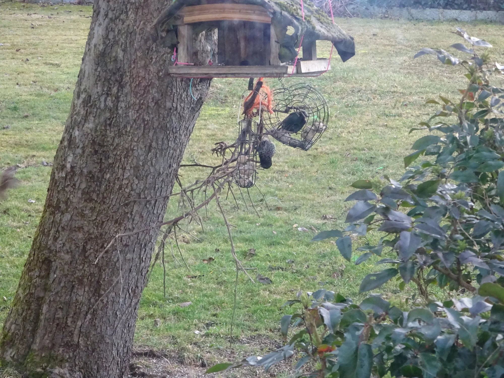 DSC03286.webp