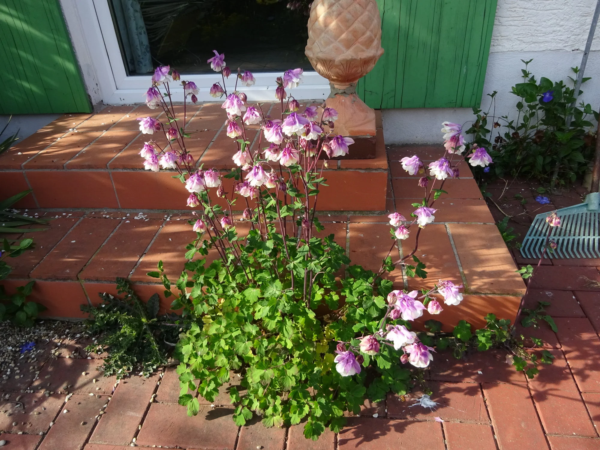 DSC03350.webp