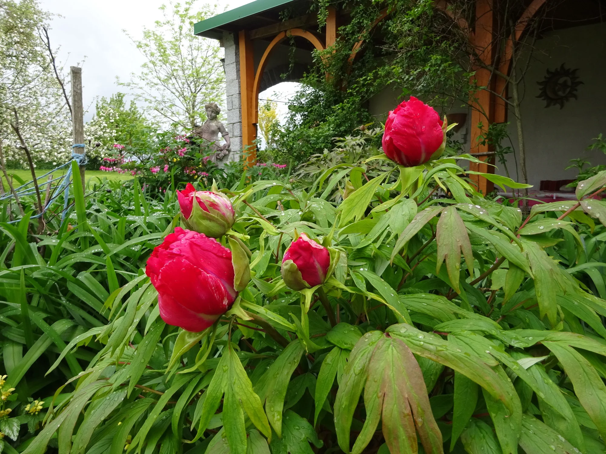 DSC03354.webp