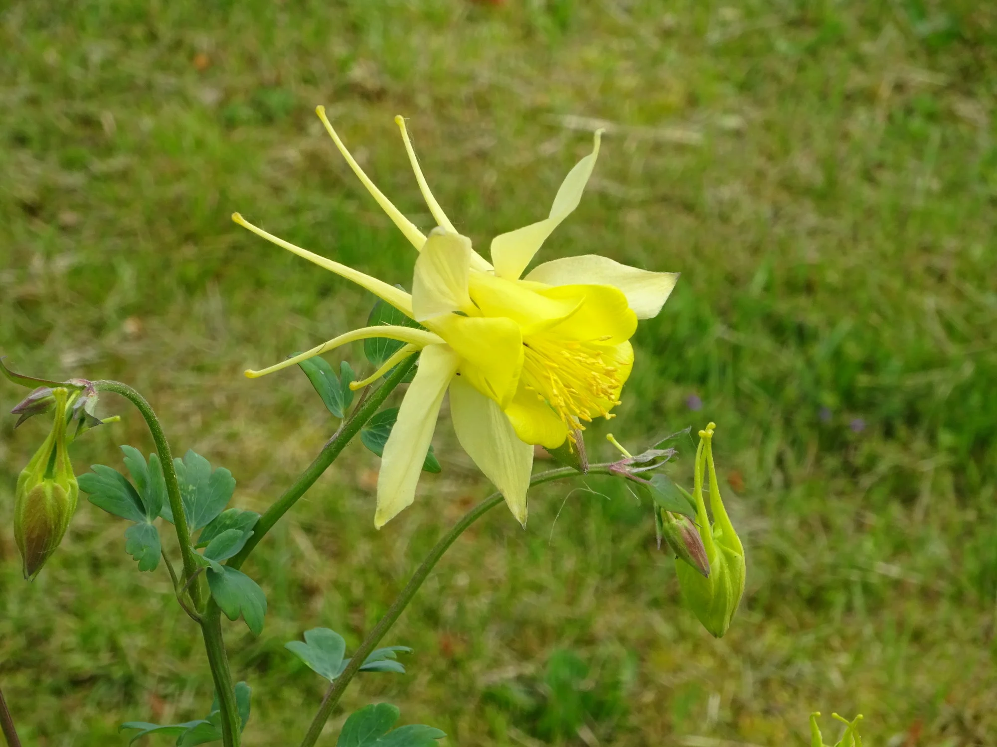 DSC03358.JPG
