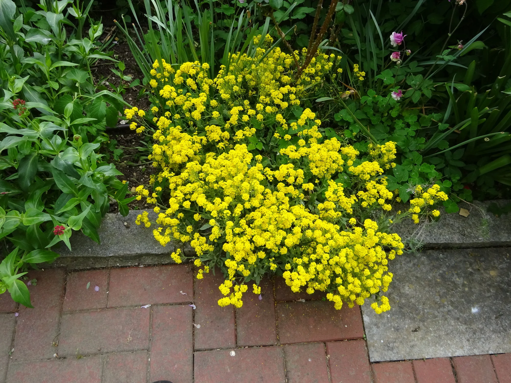 DSC03359.webp