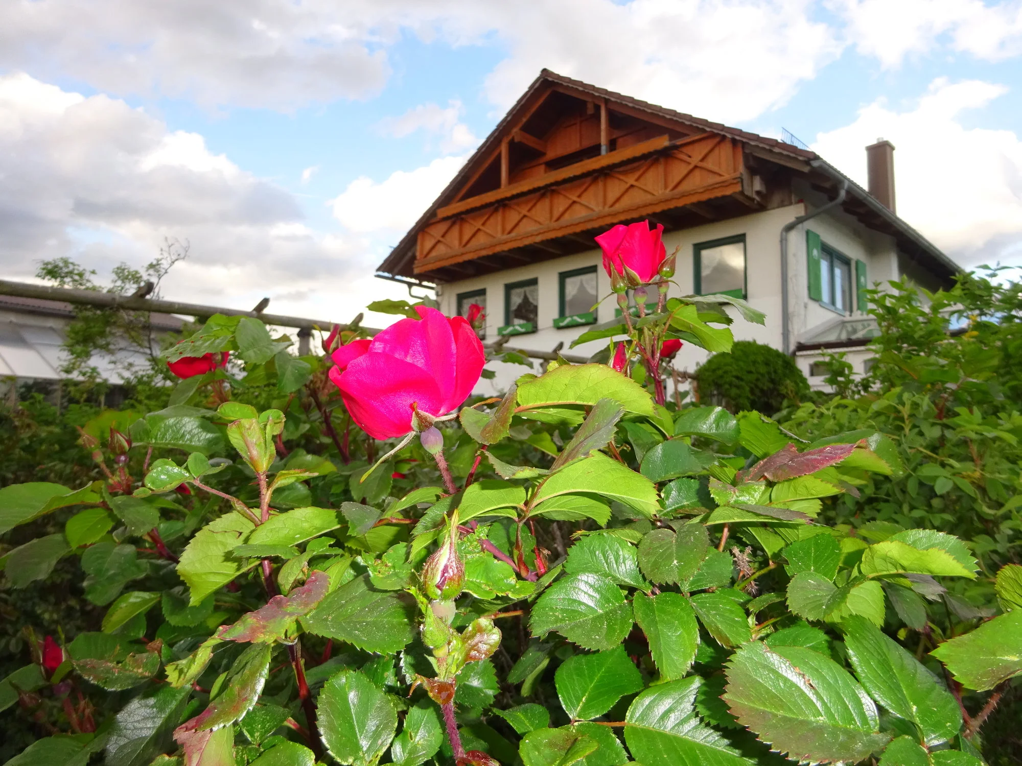 DSC03366.webp