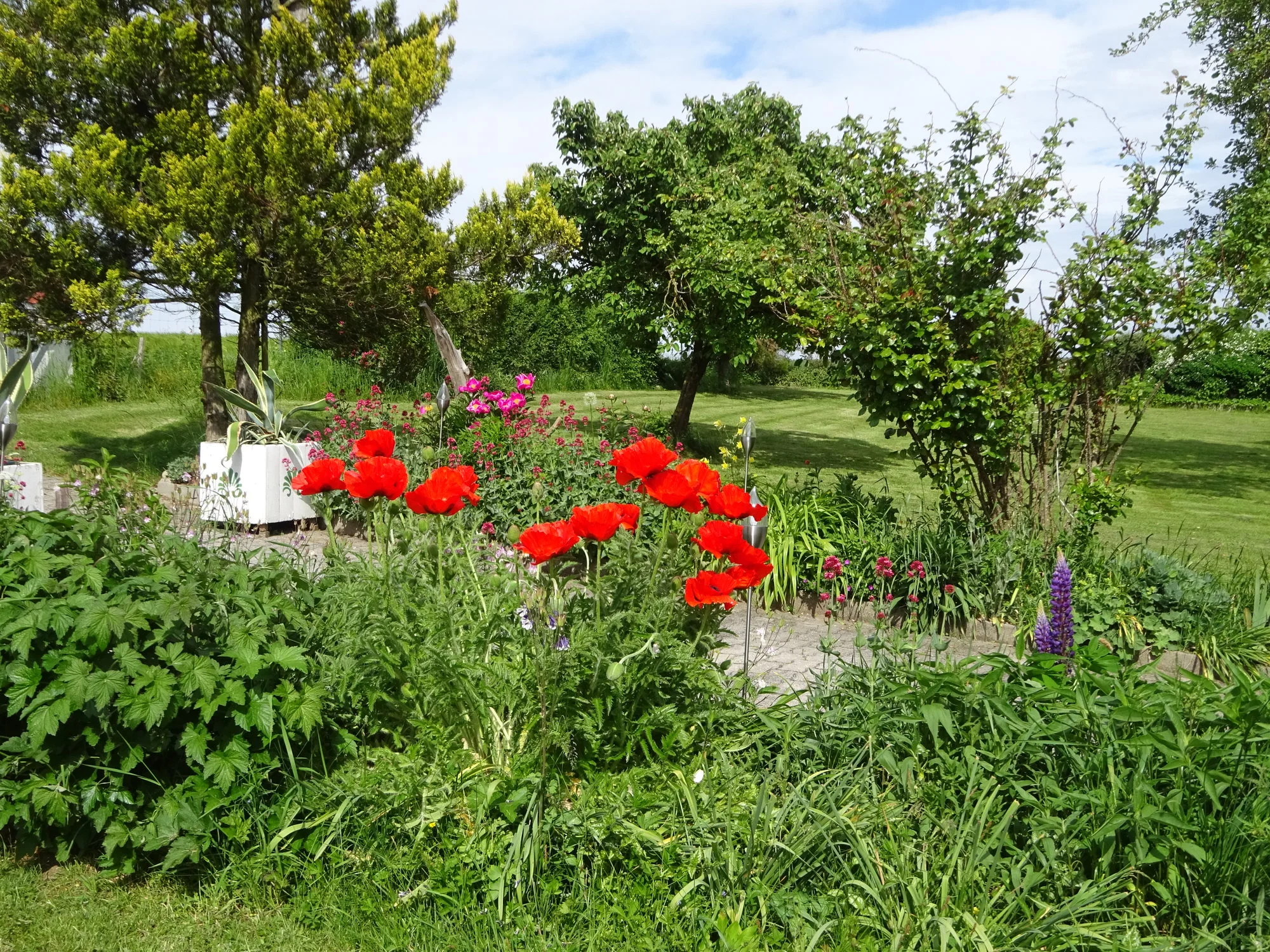 DSC03393.webp