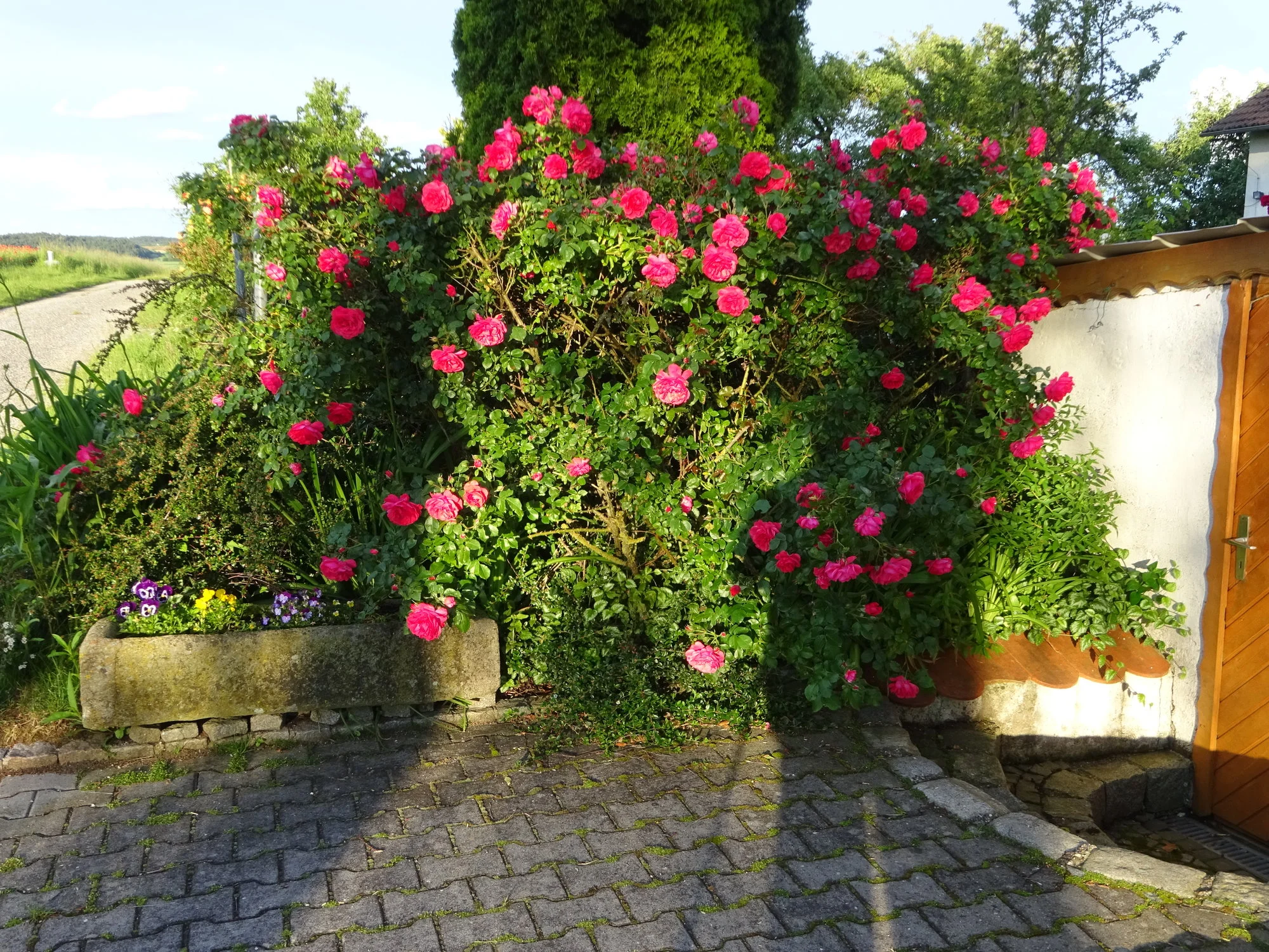 DSC03412.webp