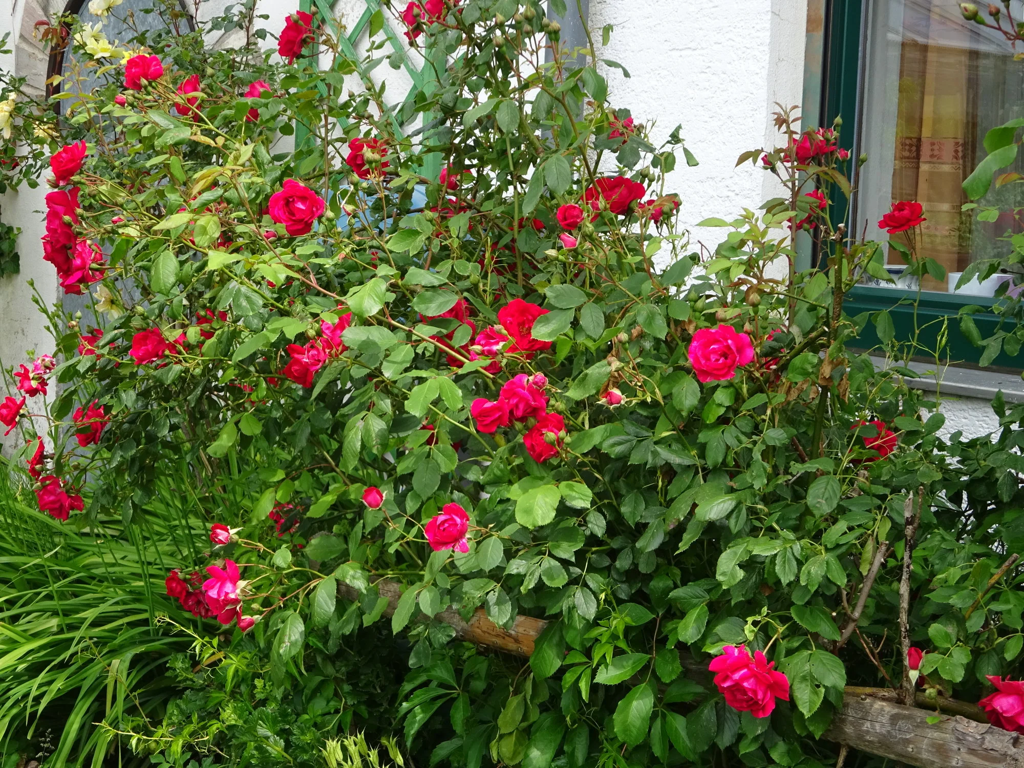 DSC03435.webp