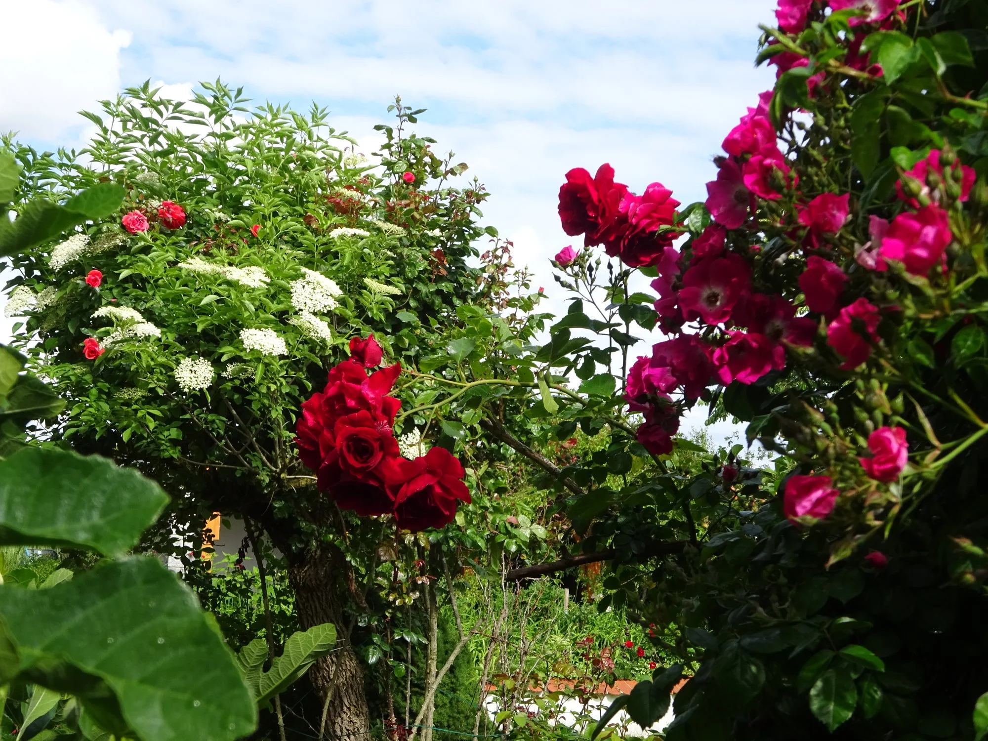 DSC03449.webp
