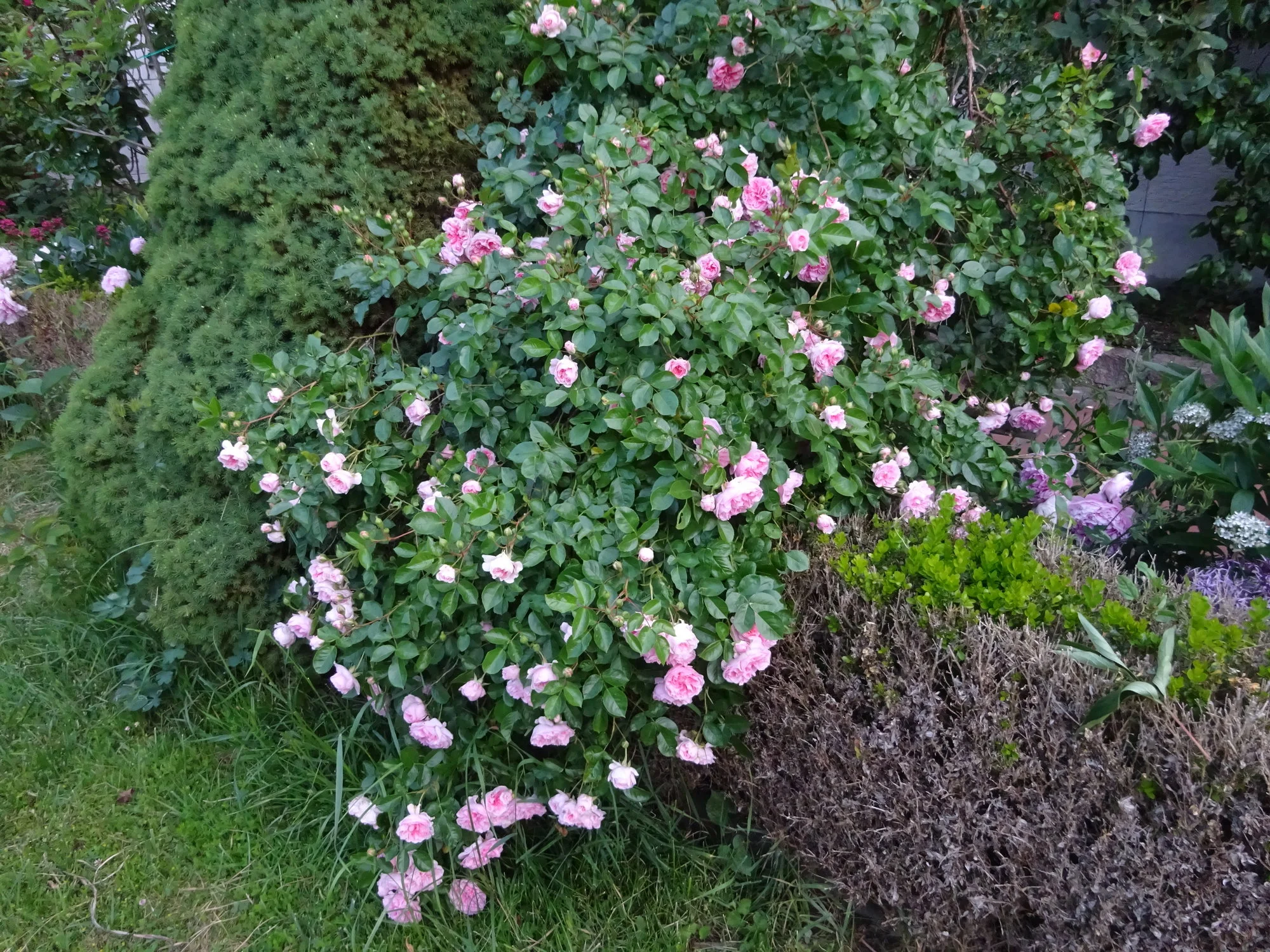 DSC03456.JPG