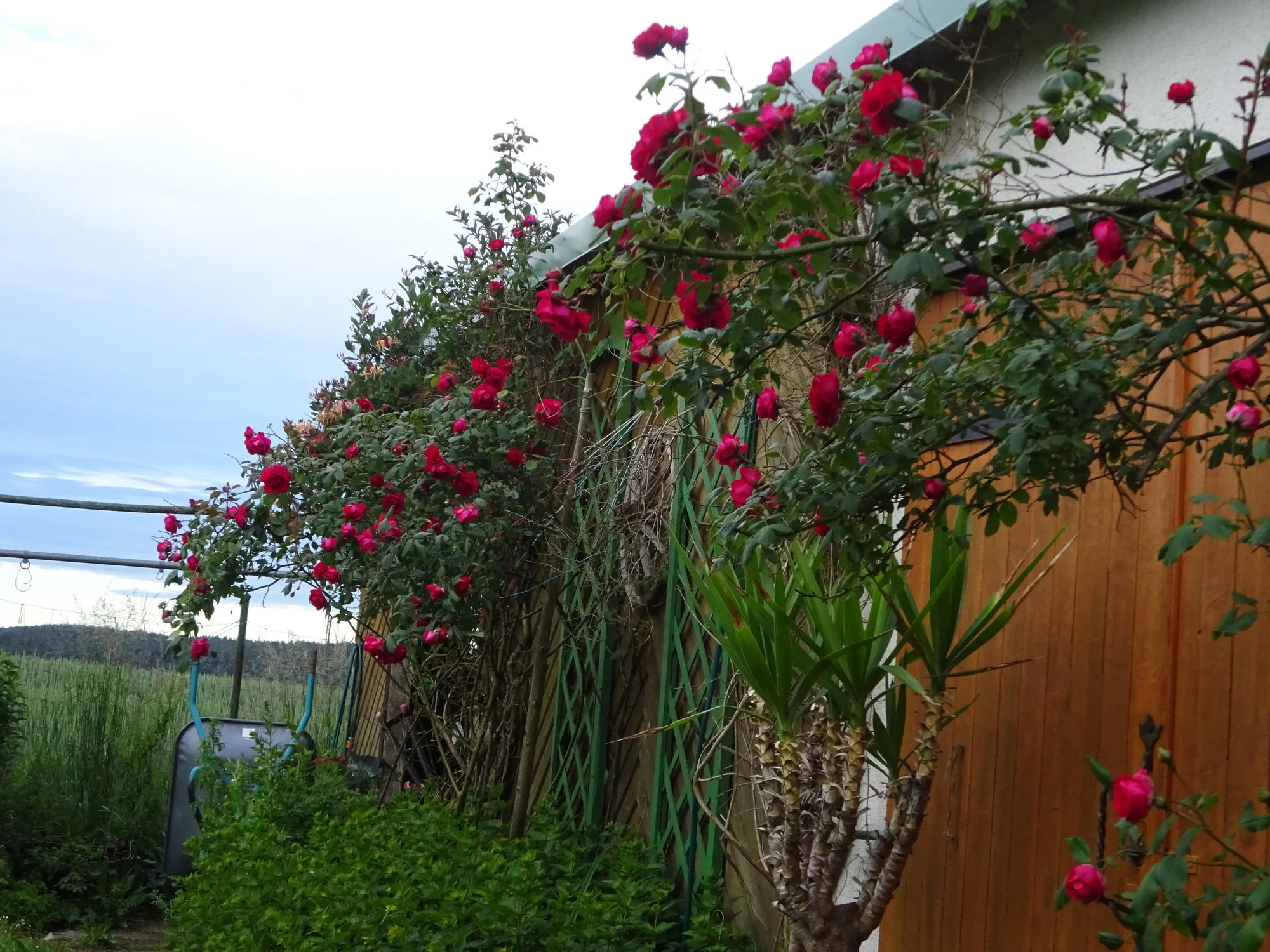 DSC03457.JPG