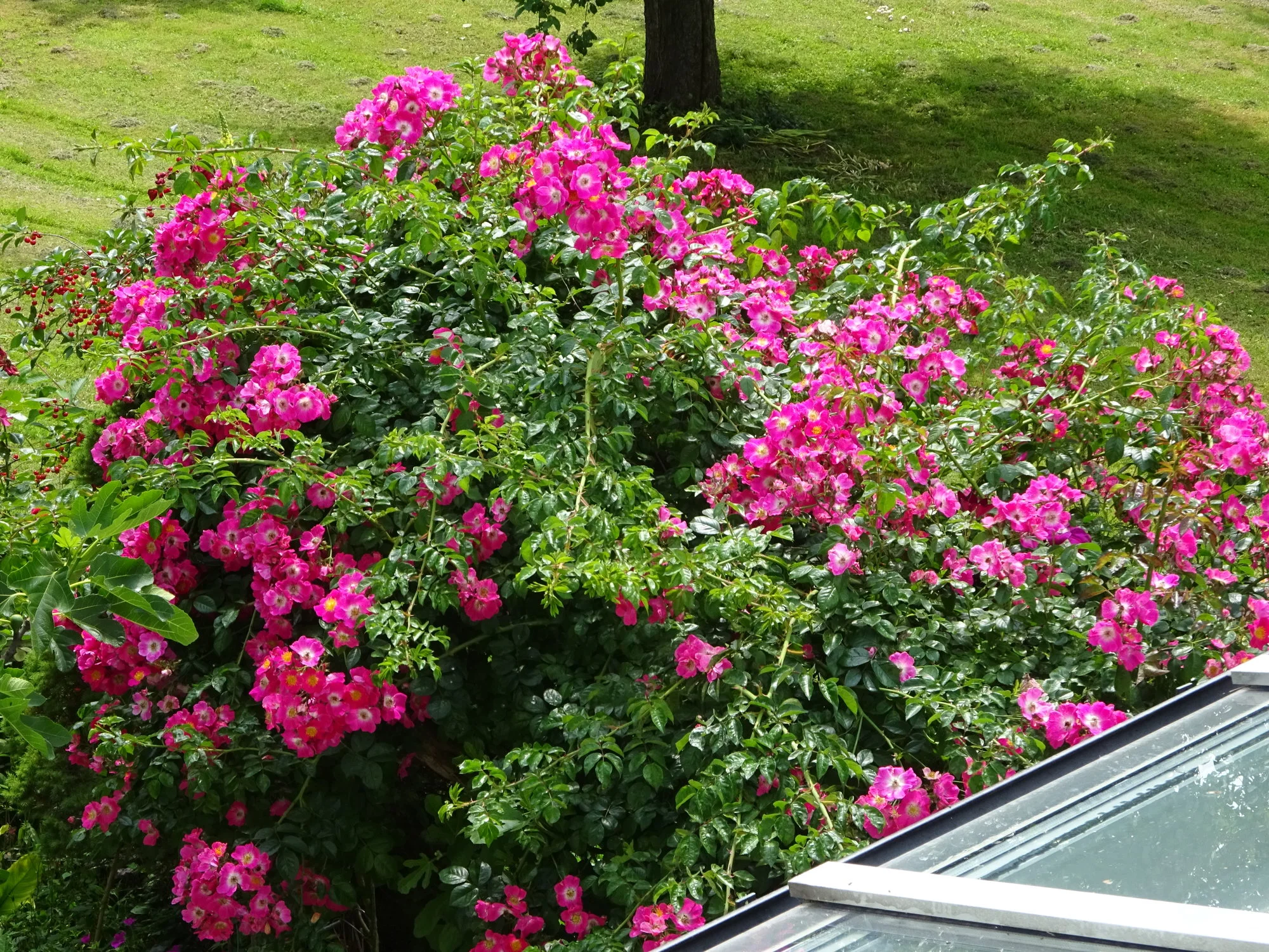 DSC03469.webp