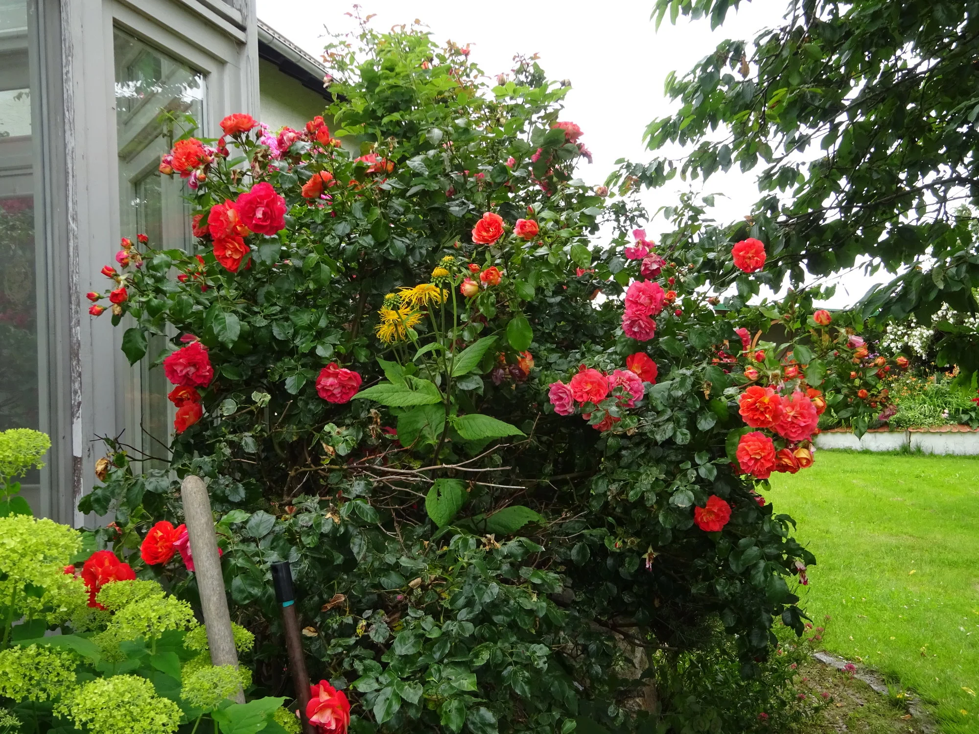 DSC03500.webp