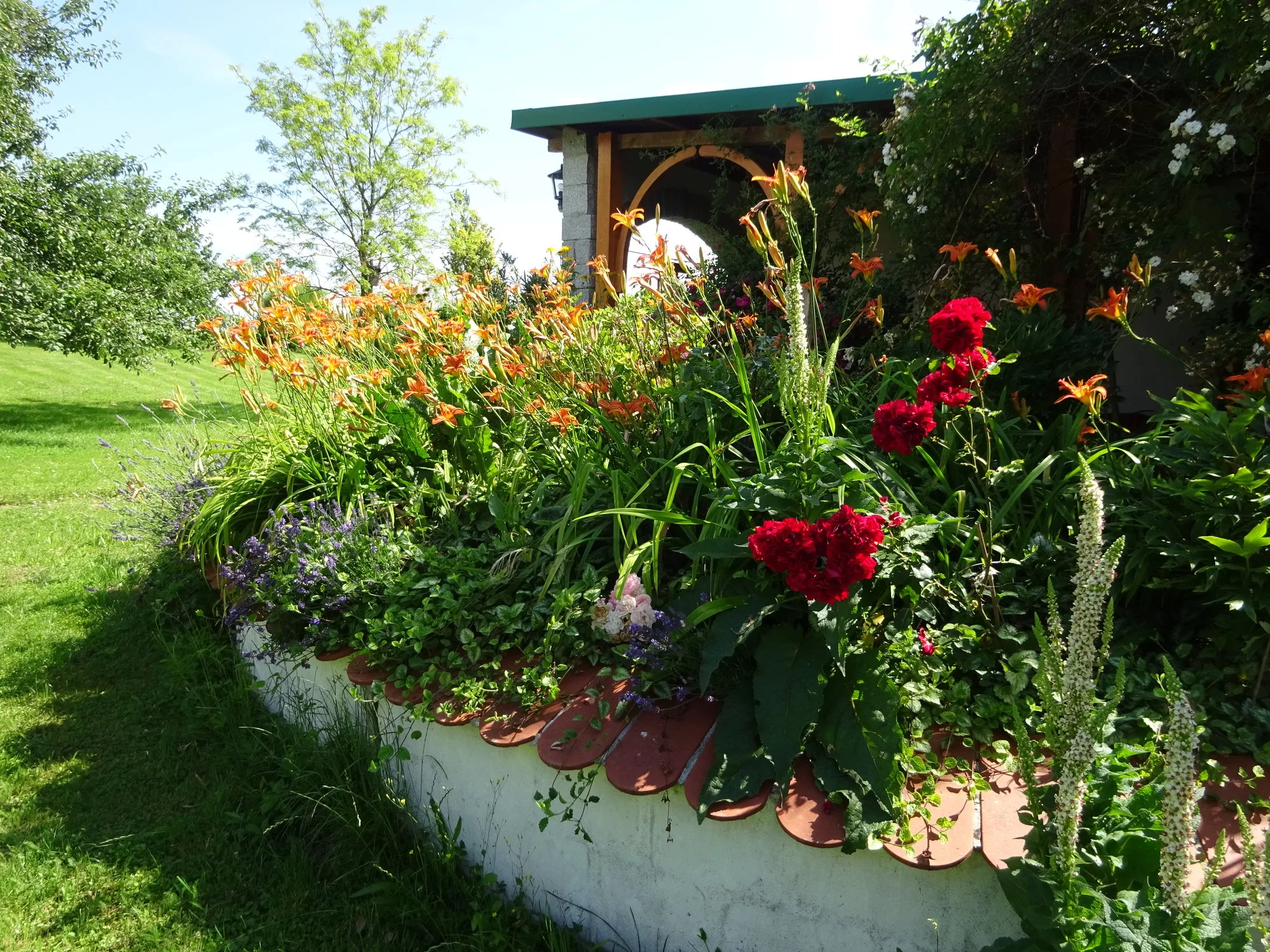DSC03551.webp