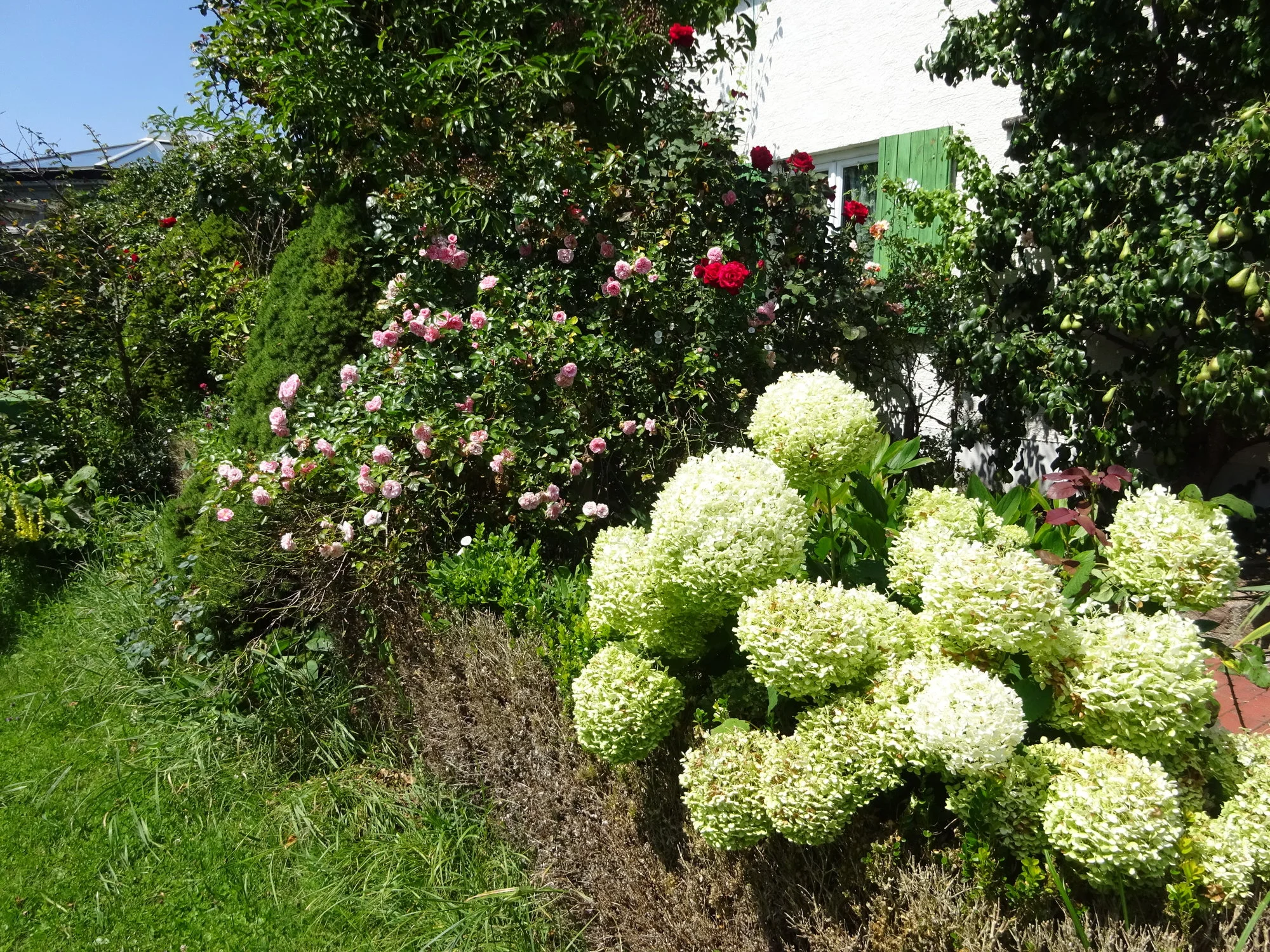 DSC03609.webp