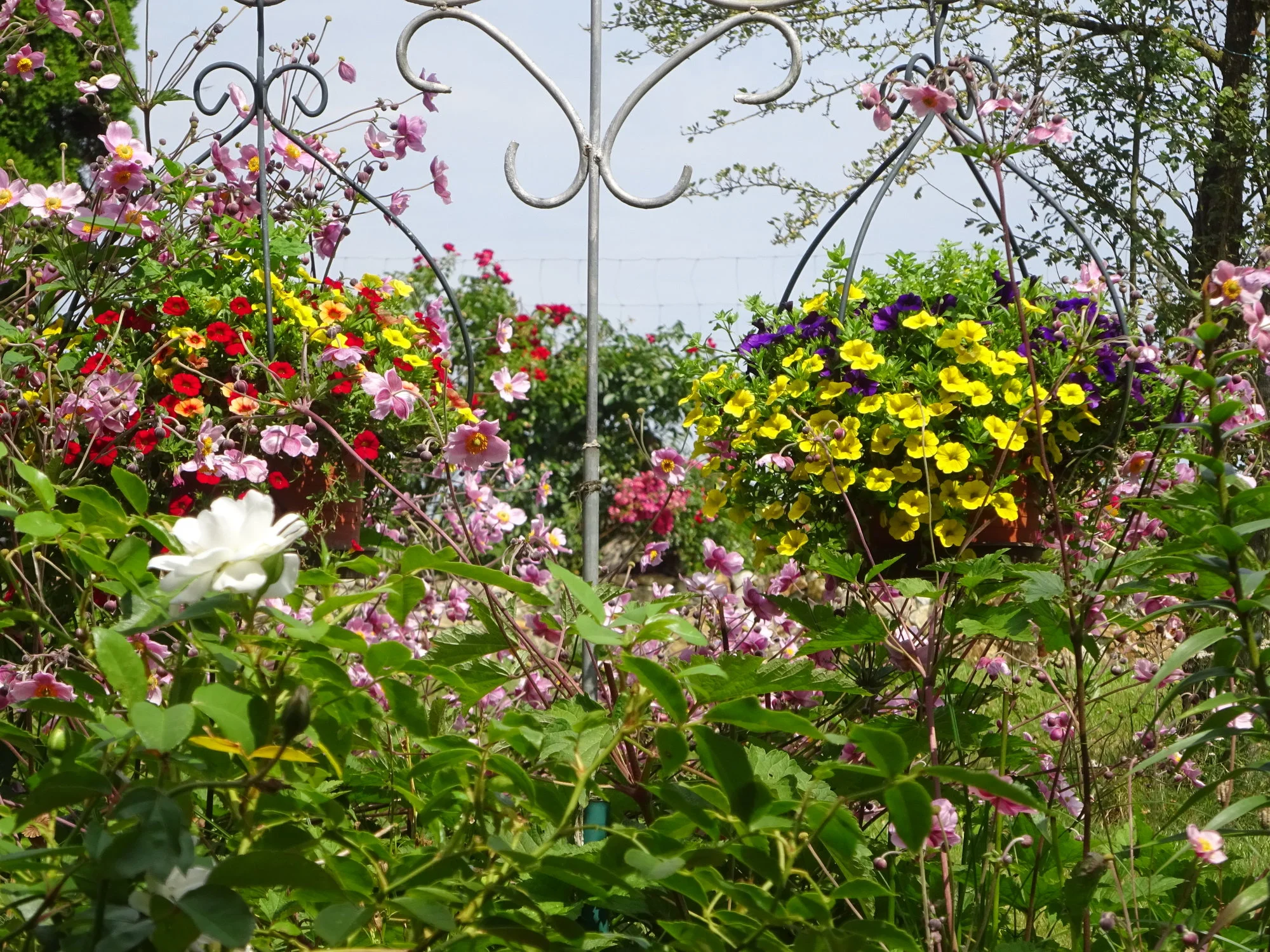 DSC03621.webp